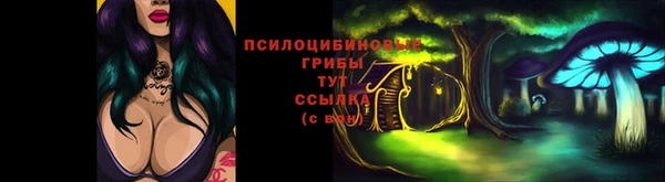 СК Аркадак