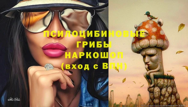 прущие грибы Балабаново