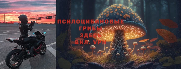 спиды Армянск