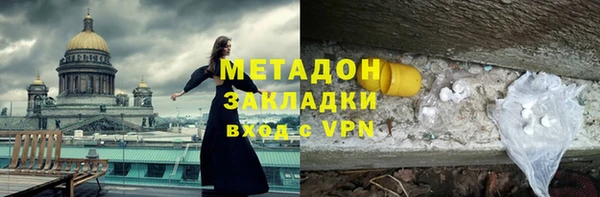 прущие грибы Балабаново