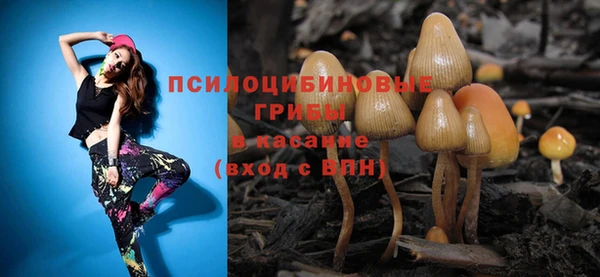 амф Саяногорск